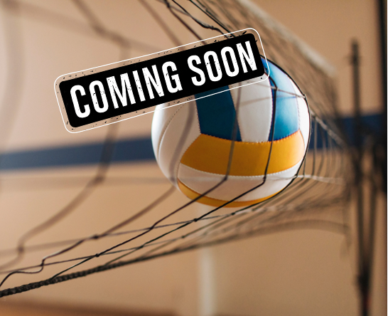 Volleyball